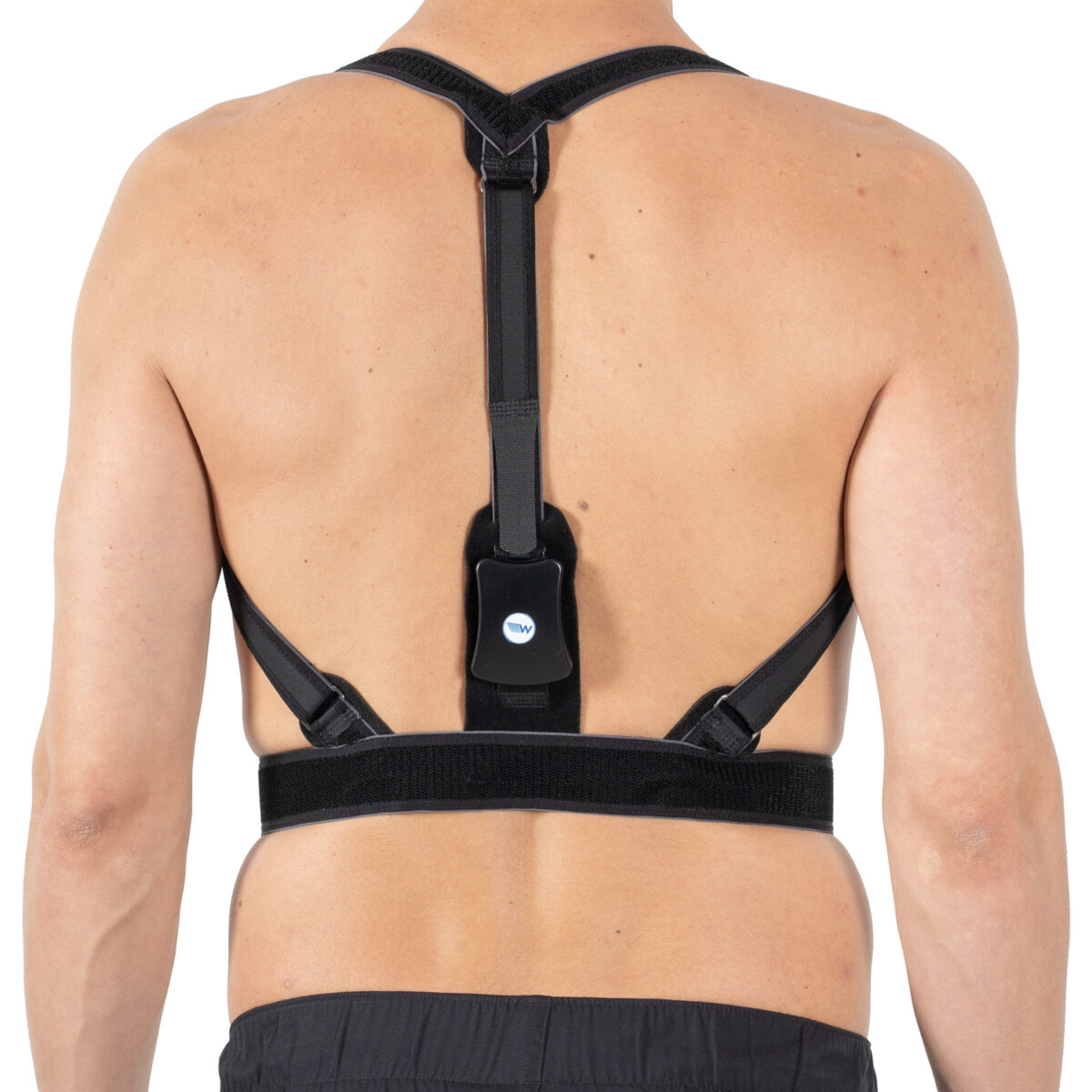 wingmed orthopedic products posture support reminder w452 57